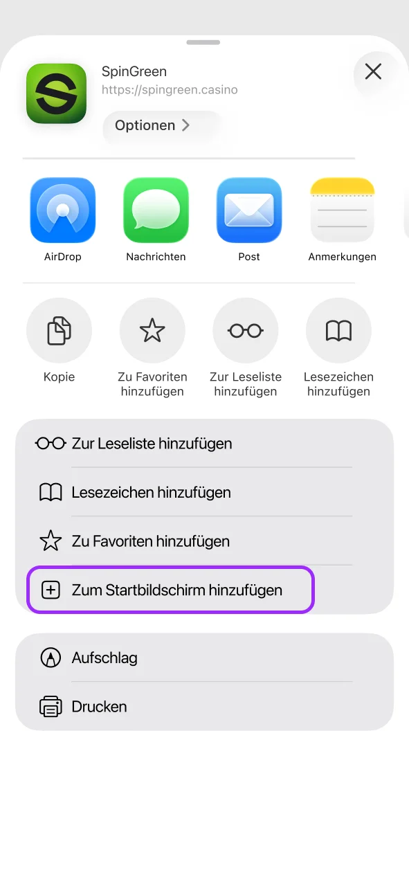 Wähle Zum Home-Bildschirm, bestätige den Namen SpinGreen.